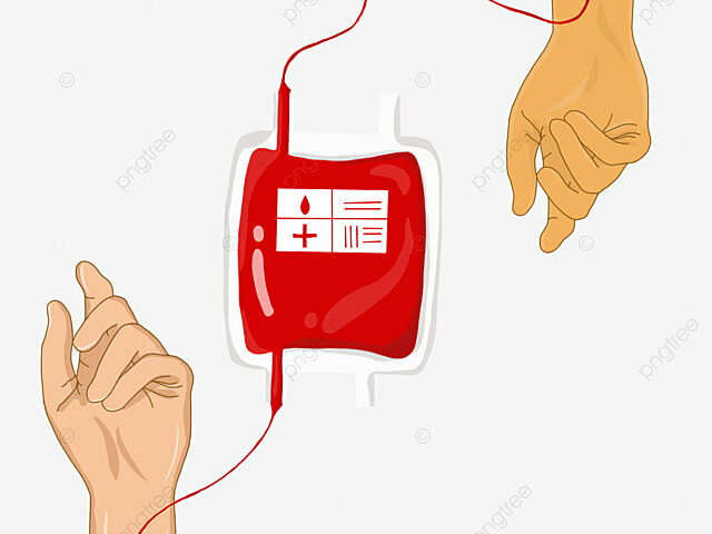 Исследование: регулярное донорство выводит из крови «вечные химикаты»