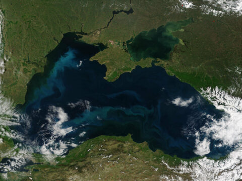 В Черном море стало в разы меньше сероводорода — оно не взорвется