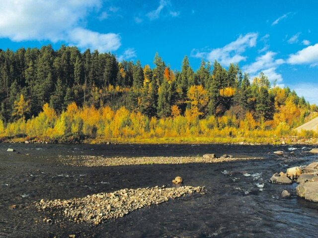 Россия нагревается в 2,5 раза быстрее, чем планета в целом