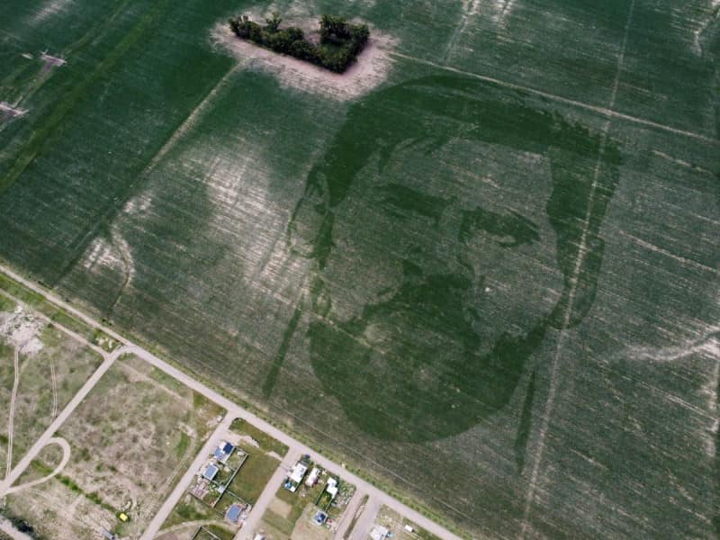 Аргентинские фермеры высадили портреты Лионеля Месси на кукурузных полях