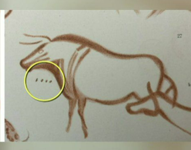 Британец разгадал тайну рисунков ледникового периода