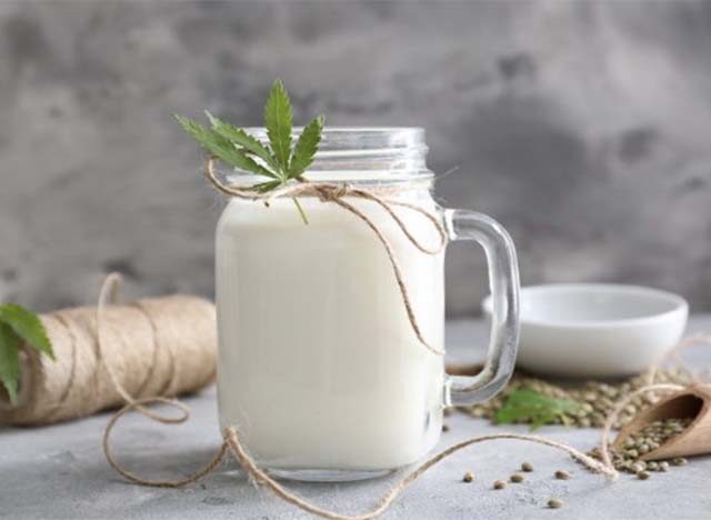 Воронежские ученые придумали, как производить молоко из конопли