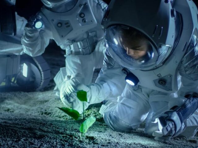 Ученые предложили использовать искусственный фотосинтез для освоения космоса