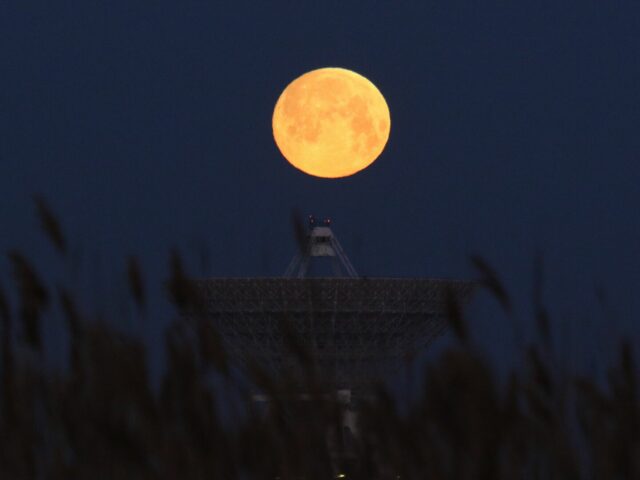 В ночь на 31 августа на небе можно увидеть «Голубую Луну»