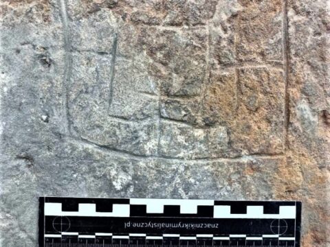 В польском замке нашли настольную игру 500-летней давности