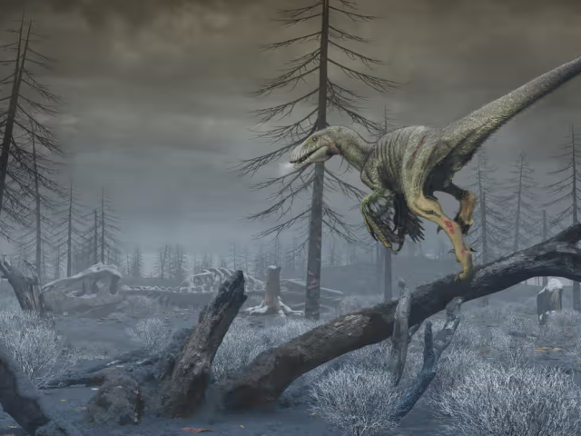 Исследование: динозавры вымерли из-за пыли от удара метеорита