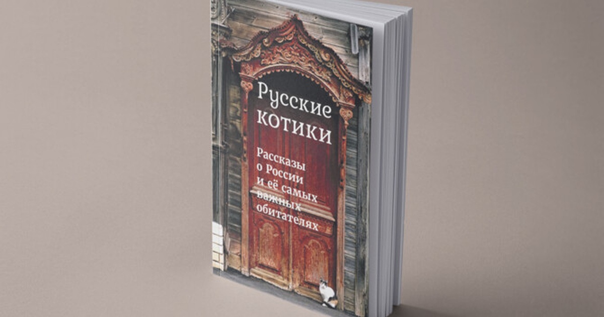 Добрый подарок на Новый год: книга «Русские котики»