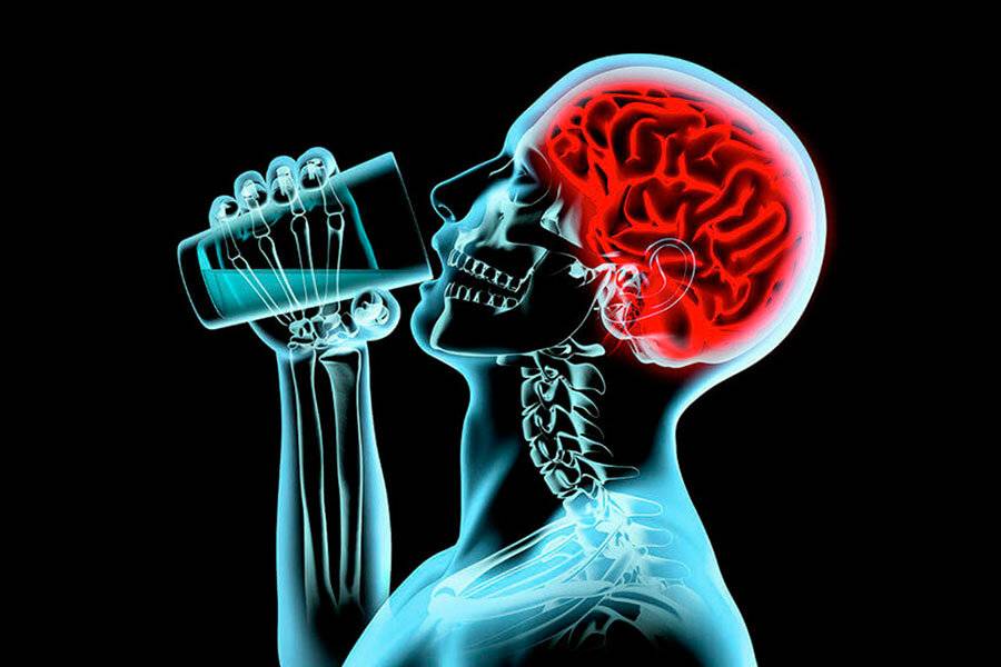 Учёные выяснили, как регулярное употребление алкоголя снижает способности мозга к обучению