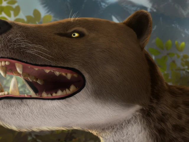 В Египте нашли череп хищника, жившего 30 миллионов лет назад