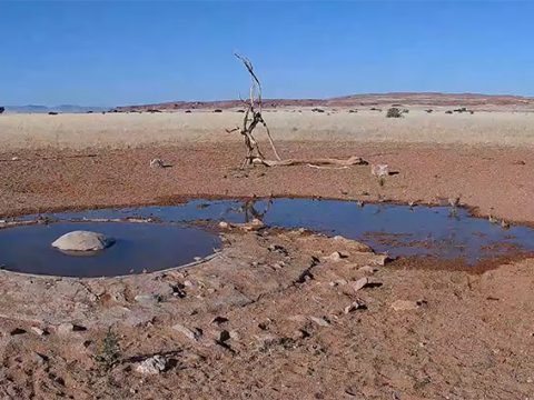 Медленное телевидение: зачем смотреть видео с поездами и со спящим медведем