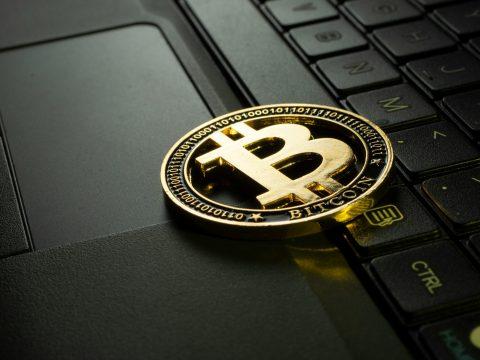 Ученые из Перми выяснили, что курс биткоина напрямую зависит от жадности и страха людей