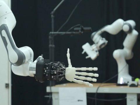 Ученые изобрели робота-«каннибала», чтобы изучать роботизированные «экосистемы»