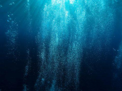 Исследование: глубоководный сахар эффективно уничтожает раковые клетки