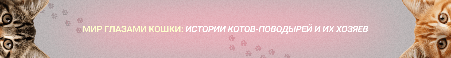 Мир глазами кошки-Билборд