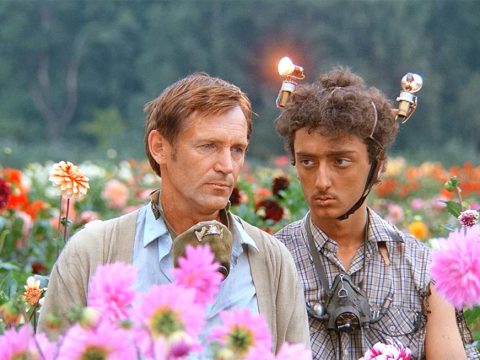 Ред флаги, урбанизм, депрессия: смотрим фильмы Данелии по-новому