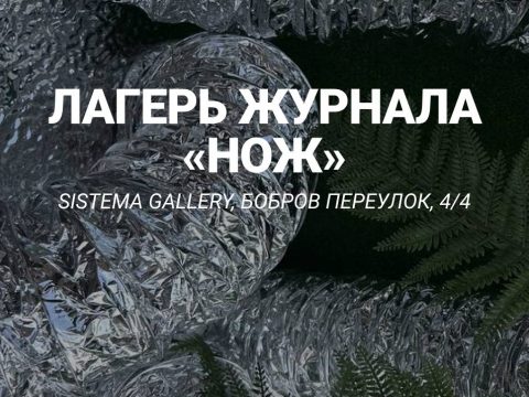 Находка: новые лекции и мастер-классы от летнего лагеря «Ножа»