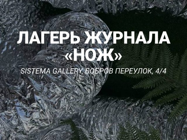 Находка: новые лекции и мастер-классы от летнего лагеря «Ножа»