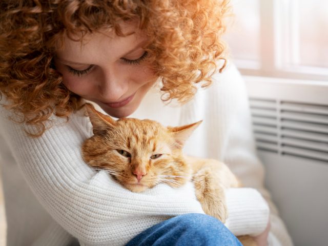 Исследование: хозяева котов жертвуют деньги на благотворительность чаще, чем хозяева собак