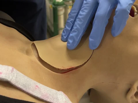 Ученые напечатали на 3D-принтере эластичную искусственную кожу, кровоточащую при порезах
