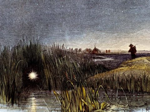 Ученые нашли причину возникновения «блуждающих огней», мерцающих над болотами и кладбищами