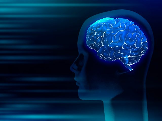 Исследование: возможно, сознание возникает в результате движения жидкости в мозге