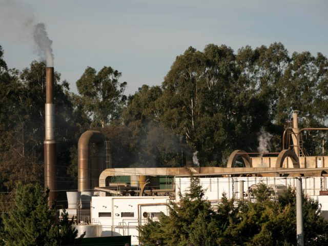 Исследование: как экономические кризисы приводят к проблемам с биоразнообразием