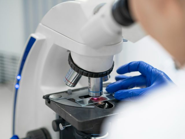 Анализ образцов ДНК с палочки от мороженого помог судебным медикам найти убийцу девушки спустя 41 год