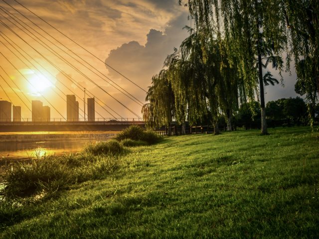 Исследование: сколько парков, скверов и садов должно быть в городе, чтобы люди были счастливее