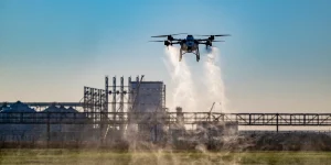 Свет мой, зеркальце, скажи: пять удивительных технологий, которые используются аграриями