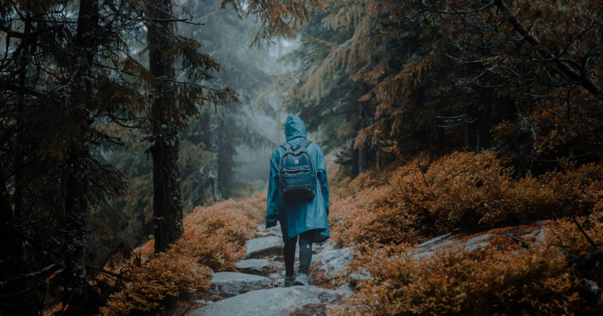 Исследование: почему люди стремятся к новым — даже неприятным — впечатлениям