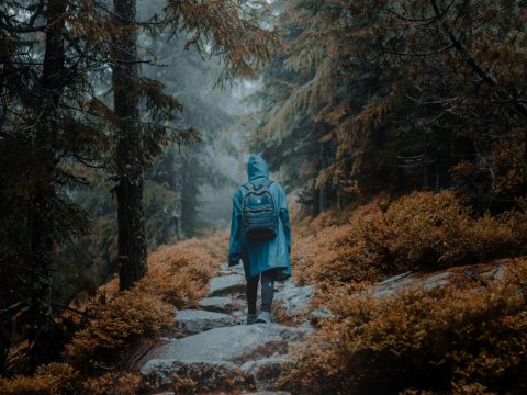 Исследование: почему люди стремятся к новым — даже неприятным — впечатлениям