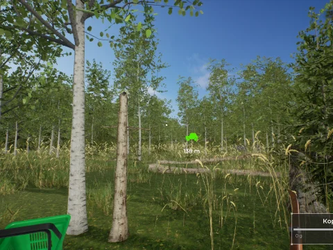 Игра дня: российский инди-симулятор сбора лесных грибов