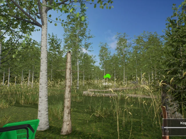 Игра дня: российский инди-симулятор сбора лесных грибов