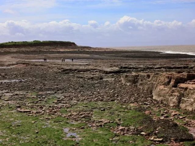 Двое пловцов чуть не погибли из-за чат-бота с ИИ, назвавшего им неверное время отлива