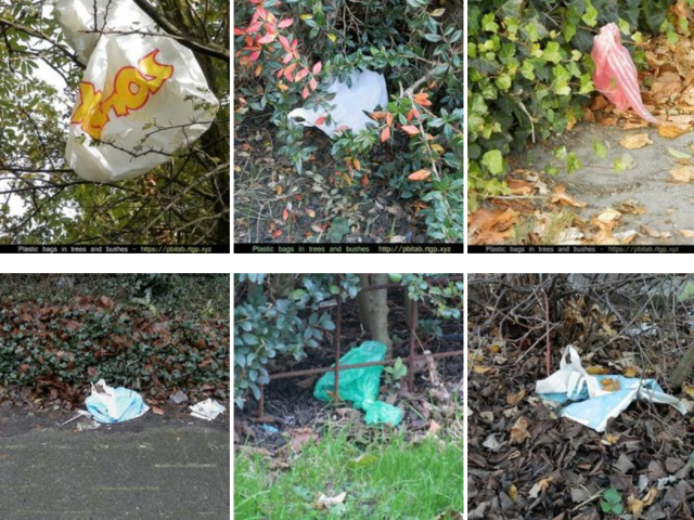 Сайт дня: онлайн-коллекция фотографий с изображением пластиковых пакетов, застрявших на деревьях