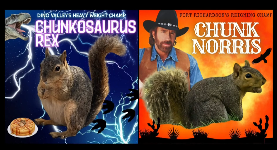 самые толстые белки в Техасе, Долина динозавров