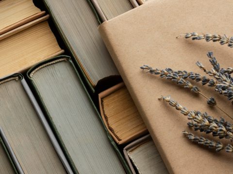 Что читать в октябре: книжные новинки