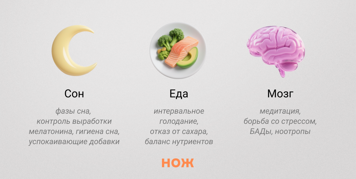 Основы биохакинга