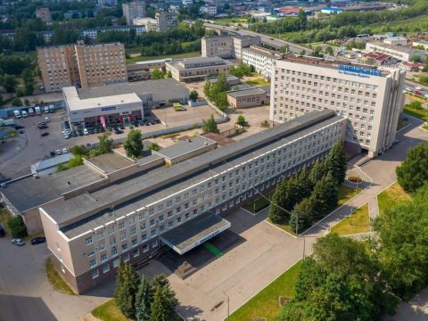 Ученые выяснили, что «дизайн» украшений на старинных русских седлах был вдохновлен монгольской культурой