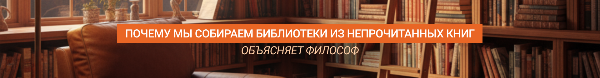 Библиотеки-Билборд