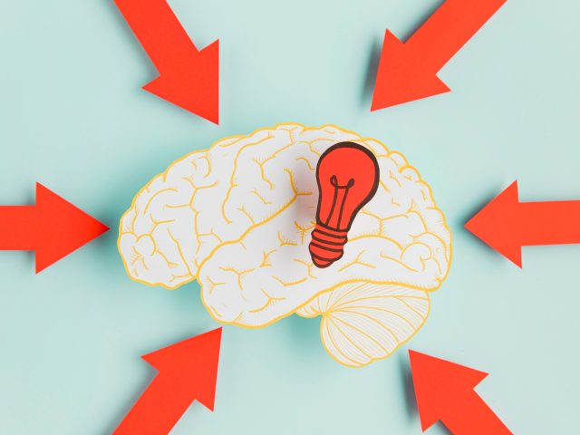 Ученые из МГУ выяснили, как мозг формирует ассоциации между звуком и движением