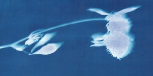 Аура снимка: почему пленочная фотография возрождается