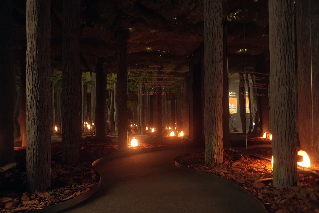 «СОН В МУЗЕЕ», ЦСИ М’АРС и Лаборатория Нового Культурного Опыта