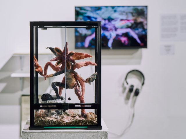 Экспертный совет III ежегодной премии в области современного искусства SCAN AWARDS объявил шорт-лист номинантов