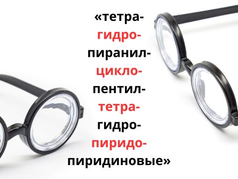 Московские филологи выявили самое длинное слово в русском языке — в нем 55 букв