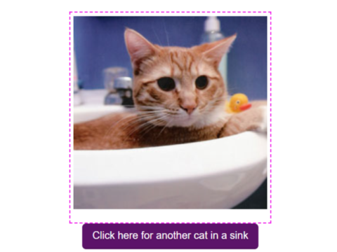 Сайт дня: онлайн-коллекция фотографий с кошками в раковинах