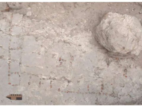 Археологи обнаружили древнюю настольную игру во время раскопок в Гватемале