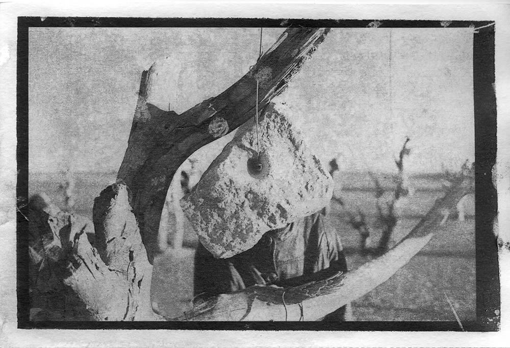 Антон Хамчишкин, Яна Осман. Гумбихромат