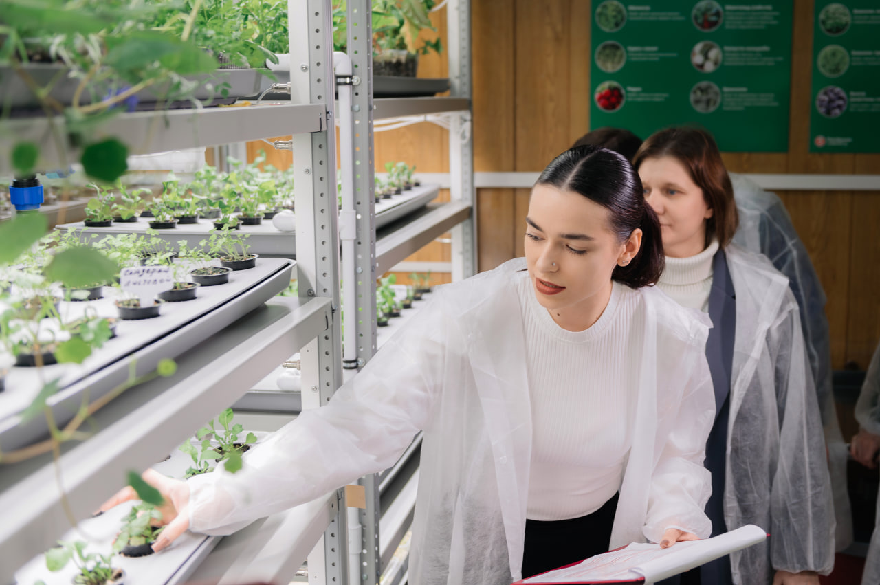 микрозелень, ферма, студенты