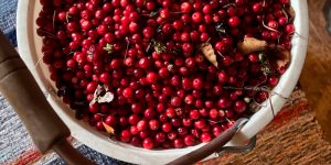 Ягоды-грибочки: как устроена экономика собирательства на русском Севере